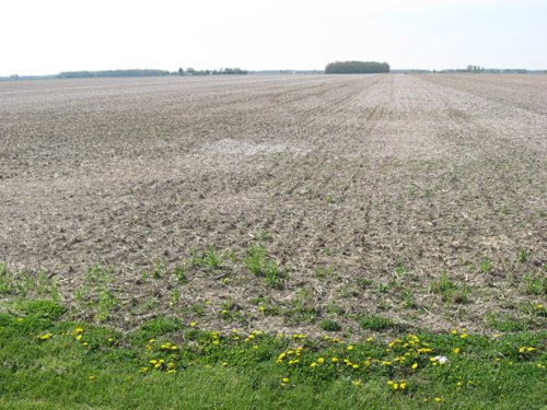 Property photo 22 - 172 Acres Offered in 3 Tracts - Prime Farmland